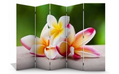 Ширма пятистворчатая 160х250 Н-960