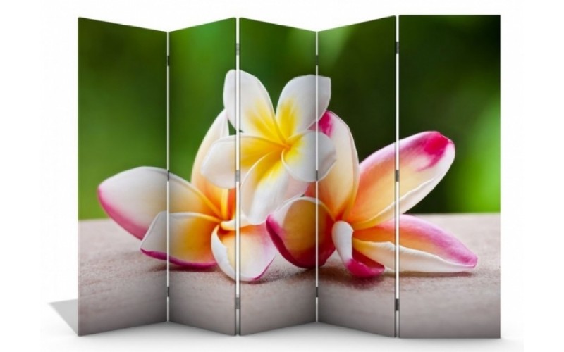 Ширма пятистворчатая 160х250 Н-960