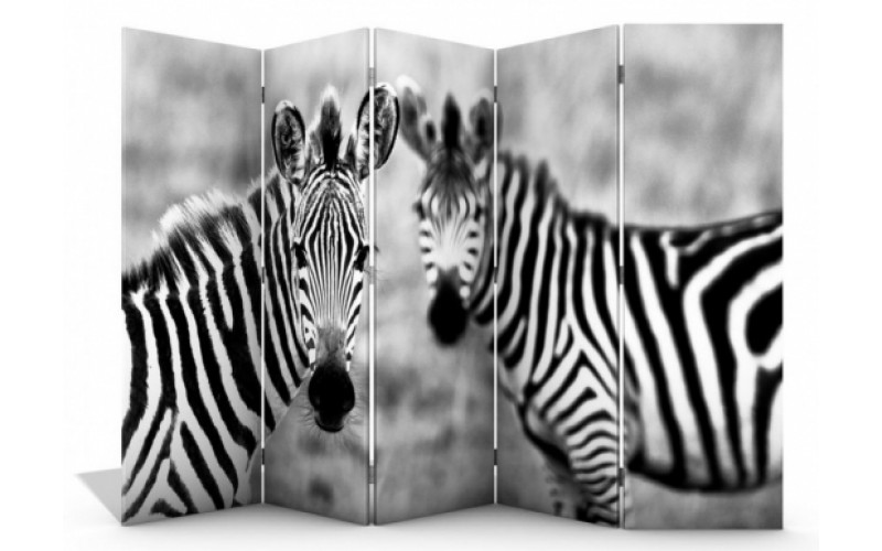 Ширма пятистворчатая 160х250 Н-963