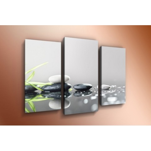 Модульная картина 60х85 T-793