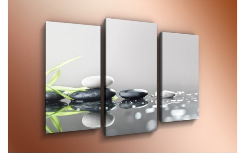 Модульная картина 60х85 T-793