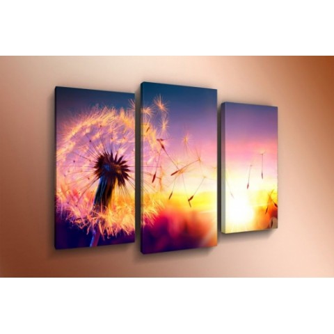 Модульная картина 60х85 T-795