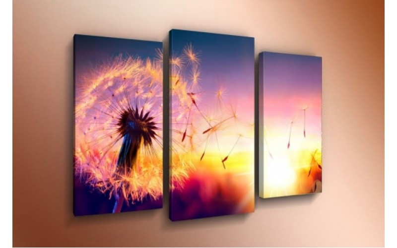 Модульная картина 60х85 T-795