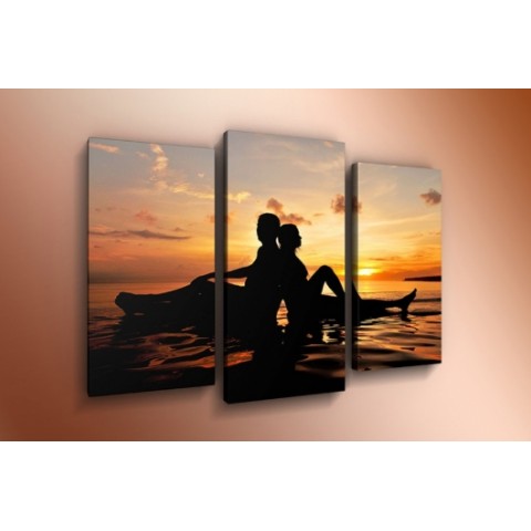 Модульная картина 60х85 T-798