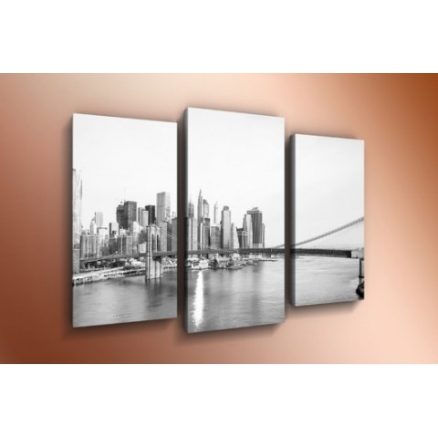 Модульная картина 60х85 T-800