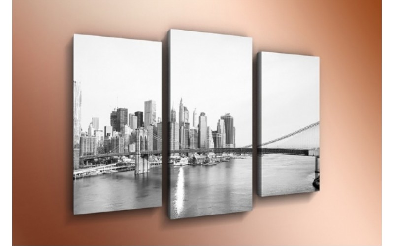 Модульная картина 60х85 T-800