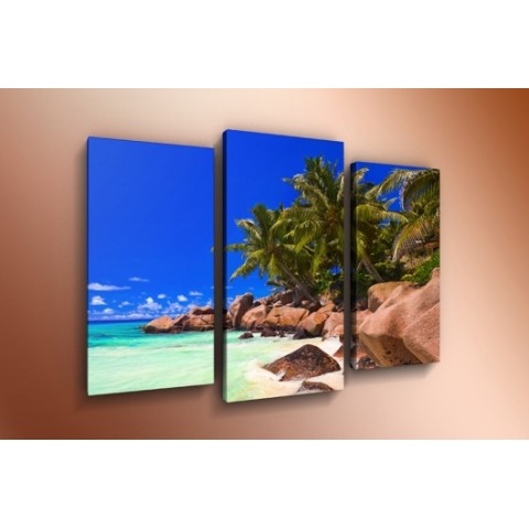 Модульная картина 60х85 T-801