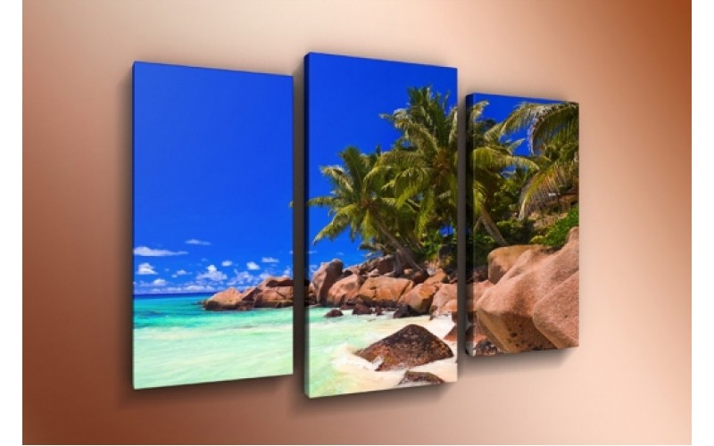 Модульная картина 60х85 T-801