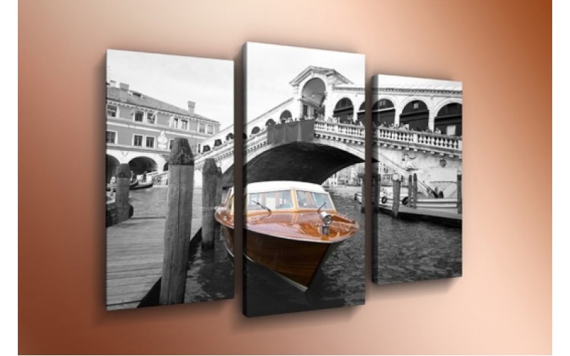 Модульная картина 60х85 T-802