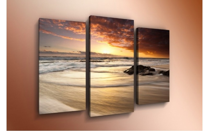 Модульная картина 60х85 T-803