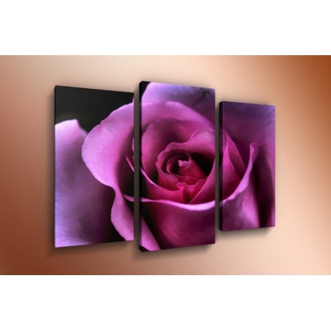 Модульная картина 60х85 T-804