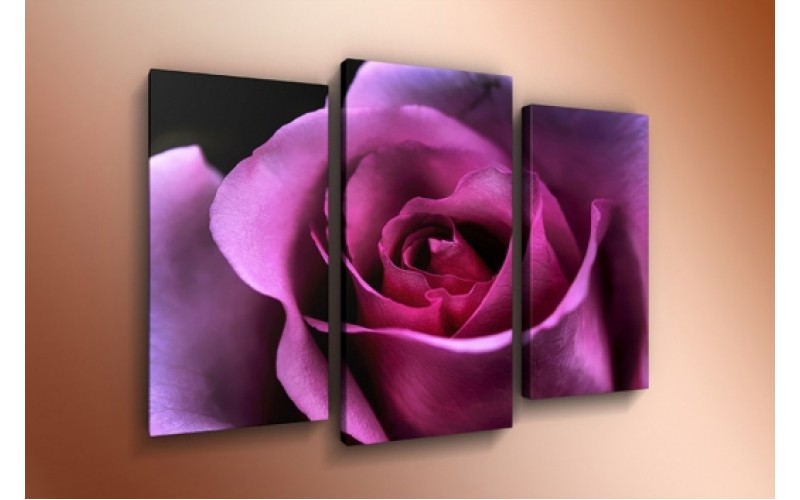 Модульная картина 60х85 T-804