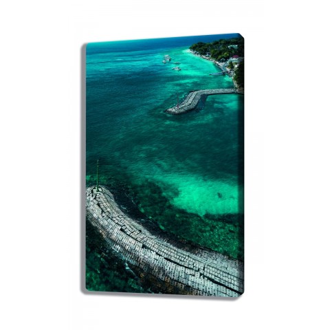 Картина 60х100 C-102