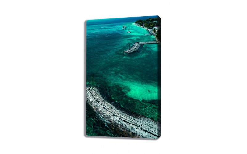 Картина 60х100 C-102